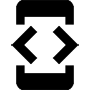 developer